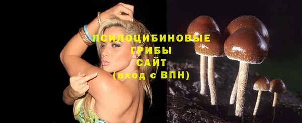 прущий лед Осташков