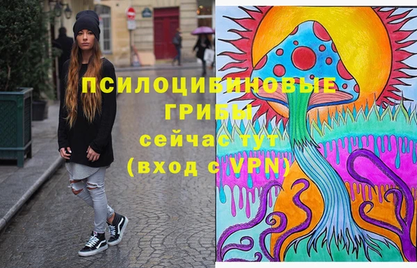 прущий лед Осташков
